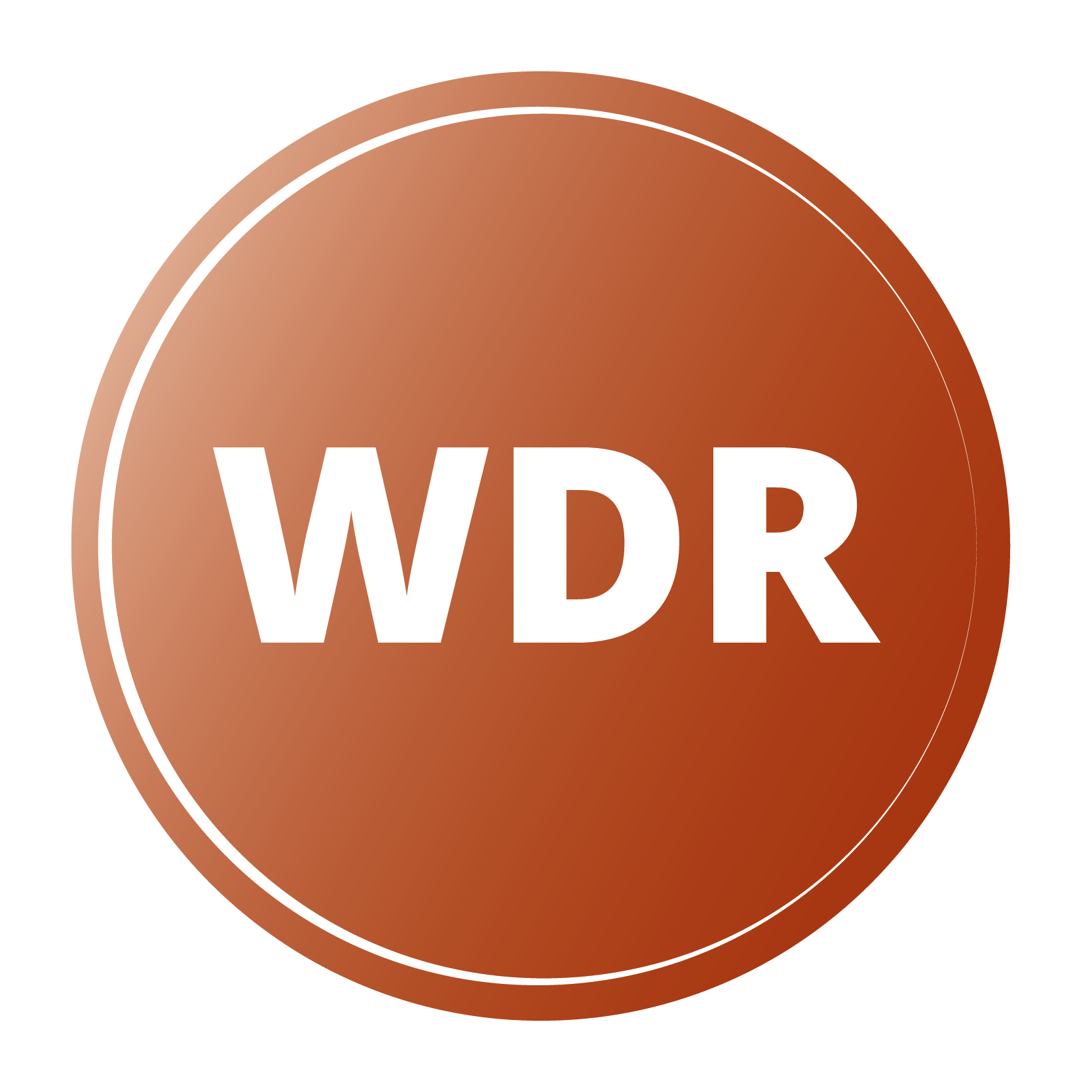 Wide Dynamic Range (WDR)